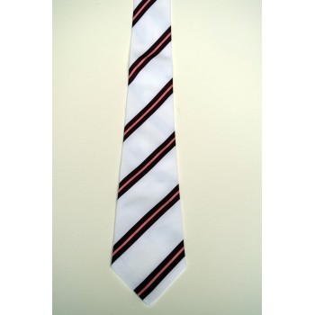 St. Catharine's College Summer Striped Tie.