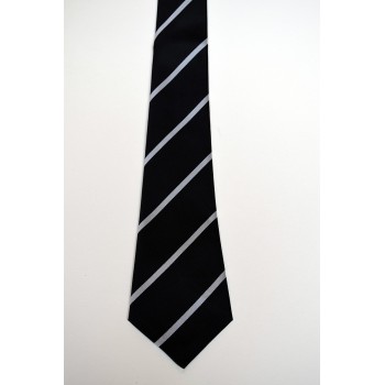 Trinity Hall Striped Tie.