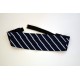 St. Edmund's College Cummerbund.