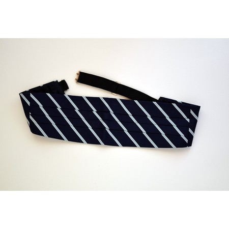 St. Edmund's College Cummerbund.