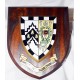 Gonville & Caius Shield