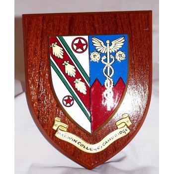 Darwin College Shield