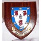 Homerton College Shield