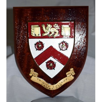 Trinity College Shield