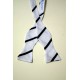 Trinity Hall Summer Bow Tie