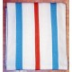 Cambridge University Womens Lightweights Rowing Scarf
