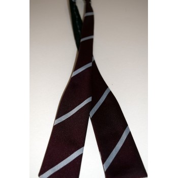 Christ's College Batswing Bow Tie