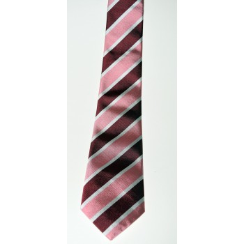 Trinity Hall Crescent Club Tie
