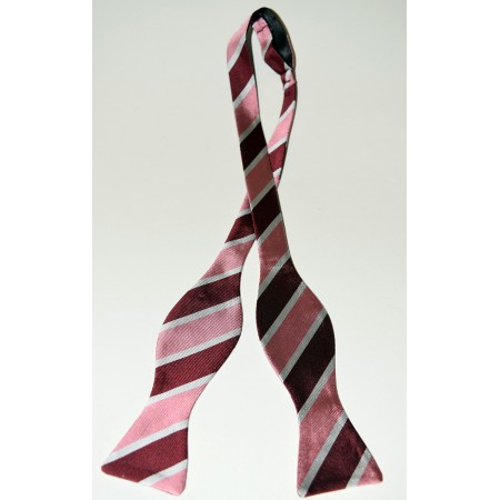 Trinity Hall Crescent Club Bow Tie