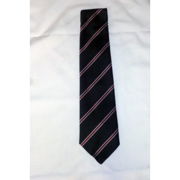 Girton College Striped Tie.